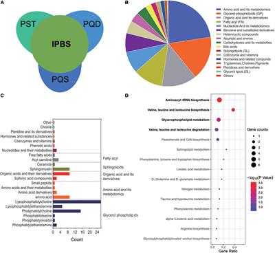 A Landscape of Metabonomics for Intermingled Phlegm and Blood Stasis and Its Concurrent Syndromes in Stable Angina Pectoris of Coronary Heart Disease